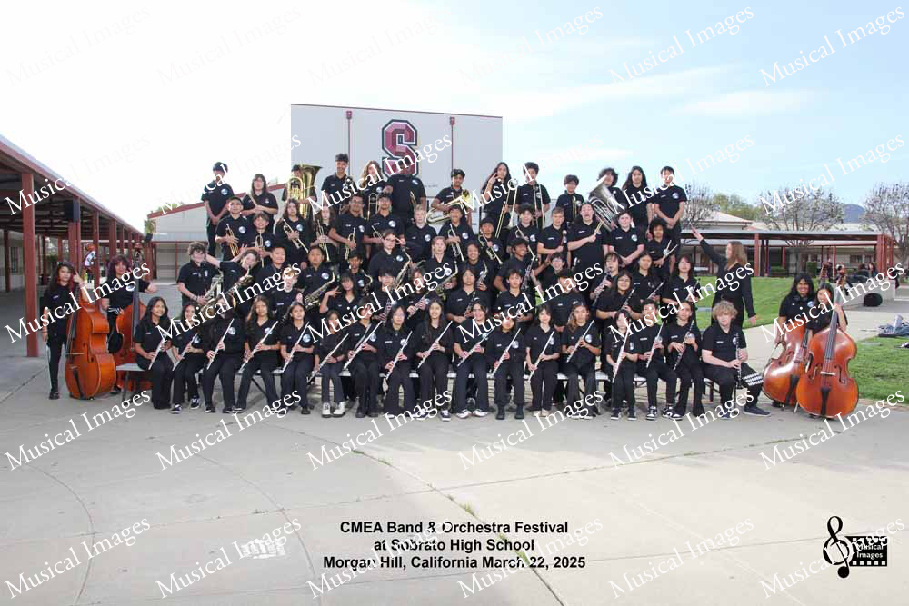 Musical Images